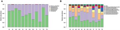 Can nitrogen supersede host identity in shaping the community composition of foliar endophytic fungi in an alpine meadow ecosystem?